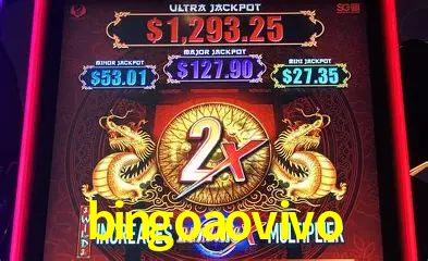 VIP Casino bingoaovivo
